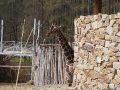 DSC00547