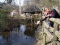 DSC00594