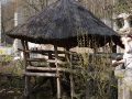 DSC00596