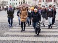 16. a 23.3. Jednorázová praxe TyfloCentrum Jihlava