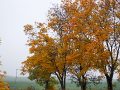 DSC01110